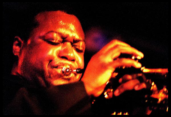 Foto © Robert van Stuyvenberg