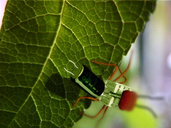 Still uit The Order Electrus © Floris Kaayk